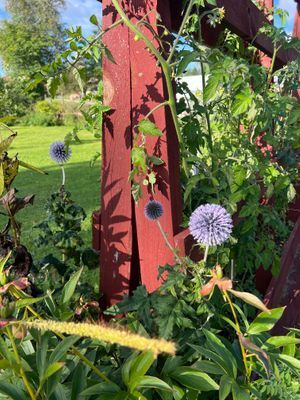 Sifferbo Gård med stor altan - Bild 20