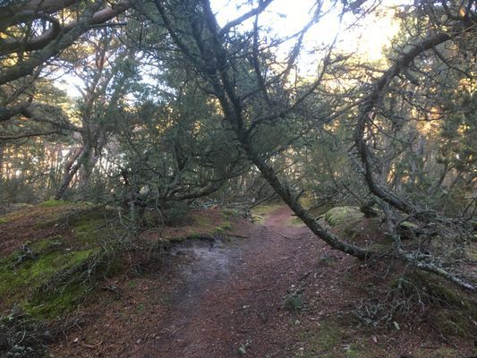 Strandnära stuga i Skummeslövsstrand - Bild 26