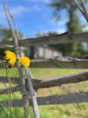 Välkommen till lägenhet C! - Bild 40