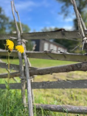 Välkommen till lägenhet C! - Bild 43