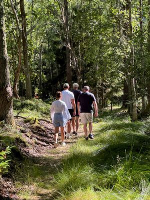 Unik sommarstuga med egen sandstrand på Fångö - Bild 24