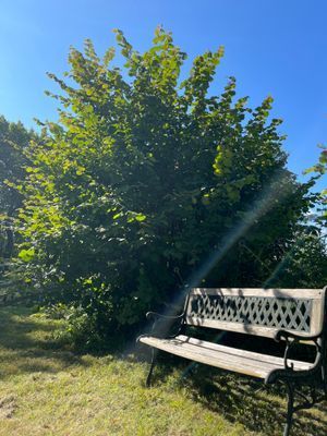 Välkommen till lägenhet C! - Bild 62