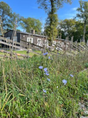 Välkommen till lägenhet C! - Bild 57