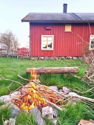 Mysigt rum på eko gård - Bild 6