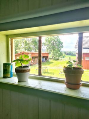 Mysigt rum på eko gård - Bild 8