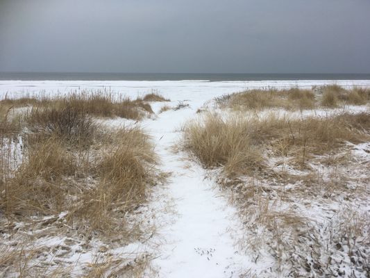 Strandnära stuga i Skummeslövsstrand - Bild 29
