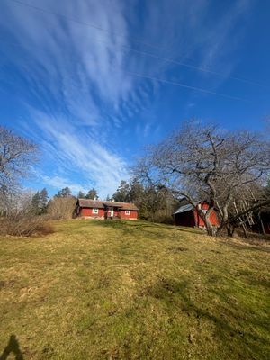 Charmig stuga på Ornö – nära hav, skog och natur