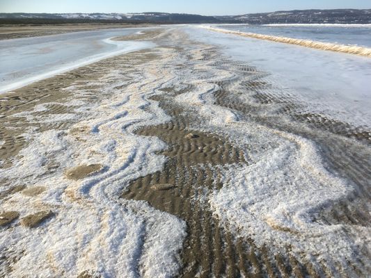 Strandnära stuga i Skummeslövsstrand - Bild 30