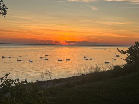 Drömboende med havsutsikt på södra Öland - Bild 10