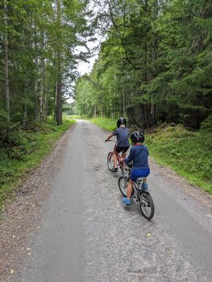 Familjevänligt hus med solig uteplats nära Ljusnan - Bild 34