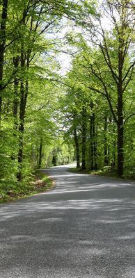 Naturskön och lantlig idyll mellan sjöar. - Bild 17
