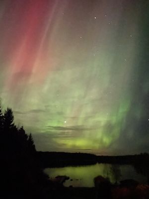 Timmerhus med egen sandstrand och brygga, inkl båt - Bild 37