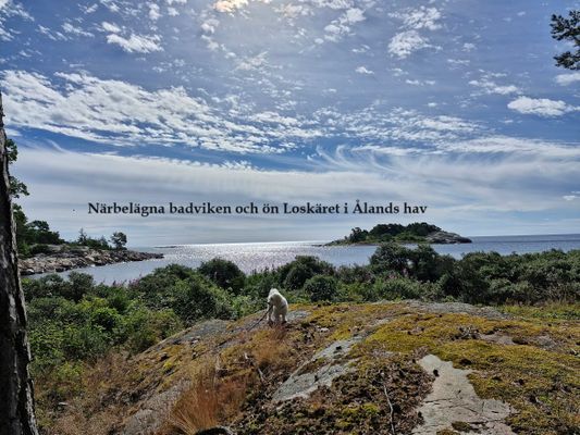 Bild 4 på Havsnära fritidshus i Grisslehamn, 10-personer.