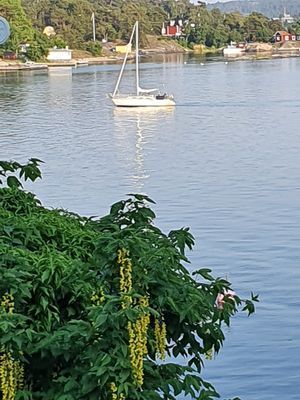 Skärgårdshus på Dalarö, sjötomt med bästa läge - Bild 42