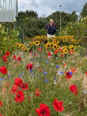 På cykelavstånd Capellagården Vickleby