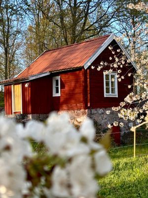Drängstugan - Tiny House