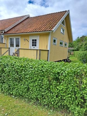 Stuga Koster