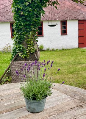 Österlen Norrekås Örnahusen- Huset vid havet - Bild 39