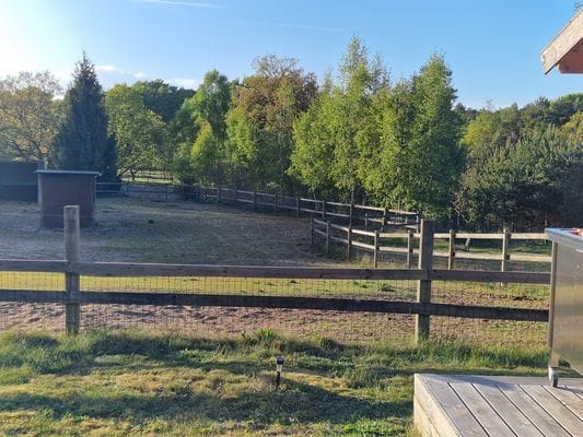 Mysig stuga i naturidyll - Bild 17