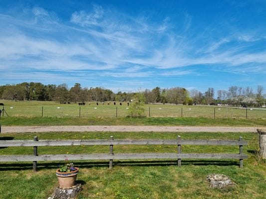 Trivsam marklägenhet uthyres i Böda, Norra Öland - Bild 6