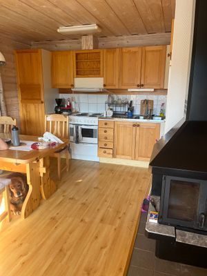 Stuga med fjäll- och sjöutsikt, bastu, och kamin - Bild 11