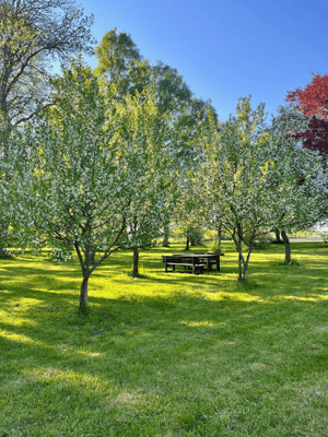 Kalkstenshus nära Herta strand - Bild 23