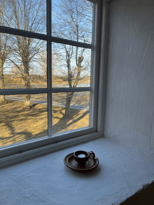 Kalkstenshus nära Herta strand - Bild 14