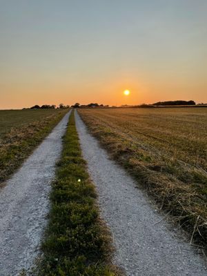 Mysigt hus i litet änge!