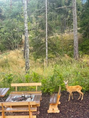 Utsikten Mörtnäs, Värmdö. Exklusivt, pool, utsikt - Bild 53