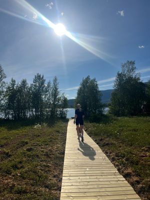 Stuga med fjäll- och sjöutsikt, bastu, och kamin - Bild 23