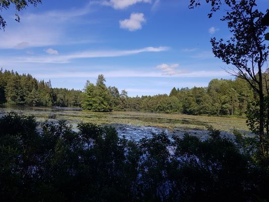 Charmig sommaridyll - Bild 20