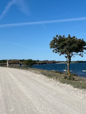 Stuga + gästhus, 100 m från havet i Byrum Sandvik - Bild 14