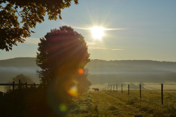 Charmig, äldre stuga i lantligt läge nära havet. - Bild 22