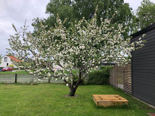 Villa i centrala Varberg - Bild 18