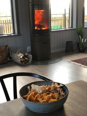 Sportlov v. 8. Stuga 7+ 2 bäddar, Vemdalsskalet. - Bild 13