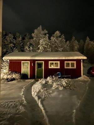 Midvinternatt mot skogen