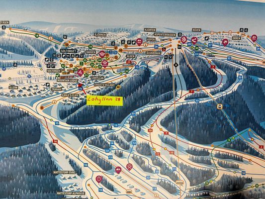 Branäs ski in/ski out vedeldad badtunna lörd-lörd - Bild 11