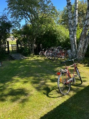 Sommar i Västergarn - Bild 27