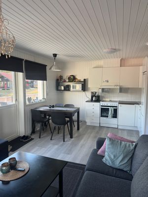 Fjällstuga med ski in Ammarnäs