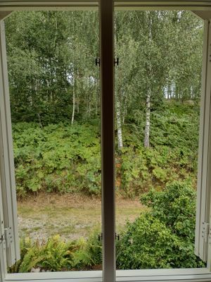 Mysig stuga nära Torsby - Bild 15