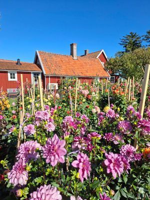 Hyr denna stuga i  på 88 m². 5-7 sängplatser. 12 000 - 13 000 kr per vecka. Se bilder och tillgänglighet här.