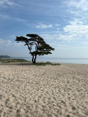 Mysigt, rymligt med närhet till strand & Åhus by - Bild 20