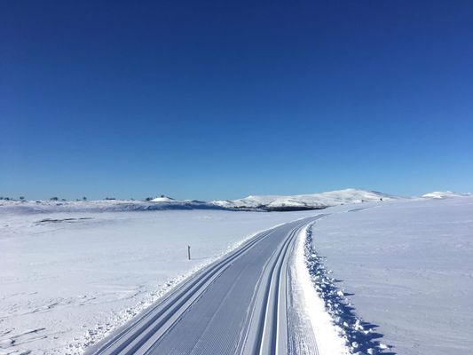 Det magiska fjällspåret.