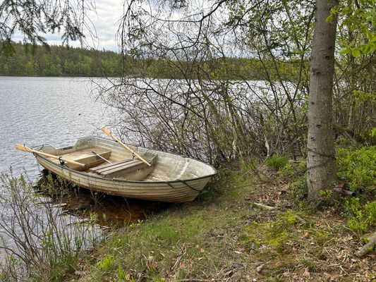 Välkommen till Boamark (6 km från Mörrum) - Bild 28