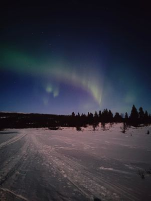 Norrsken