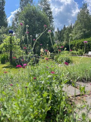 Lantlig pärla med bastu, spabad och naturnära läge - Bild 27