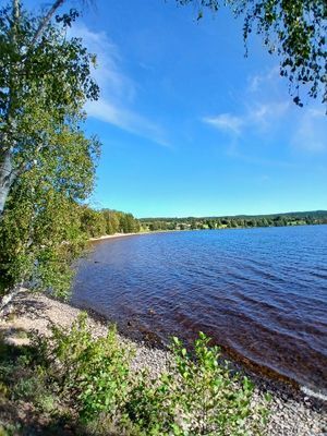 Mysigt Hus I Molkomstrakten - Bild 13