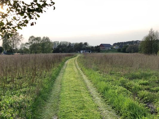 Bilväg till stugan