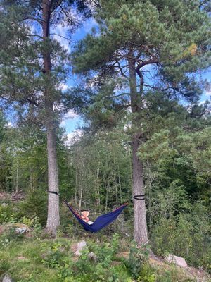 Lantlig pärla med bastu, spabad och naturnära läge - Bild 7