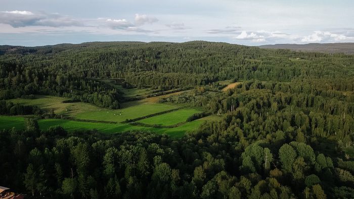 Lantlig pärla med bastu, spabad och naturnära läge - Bild 31